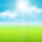 Sunny spring background