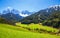 Sunny spring landscape of Dolomite Alps, Italy. Green meadows with dandelions