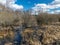 Sunny spring landscape with a flooded river, rotten old trees and fallen ground, thin water