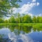 Sunny spring landscape Narew River blue sky trees