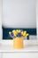 Sunny spring morning. Bunch of blue hyacinths and yellow tulips on white table. Present for a girl. Flowers bouquet in