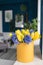 Sunny spring morning. Bunch of blue hyacinths and yellow tulips on white table. Present for a girl. Flowers bouquet in