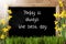 Sunny Spring Narcissus, Chalkboard, Quote Today Is The Best Day