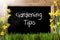 Sunny Spring Narcissus, Chalkboard, Text Gardening Tips