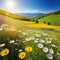 sunny spring summer Natural colorful panoramic landscape with many wild flowers and blue