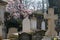 Sunny springtime light on tombstones and cross in old graveyard