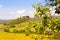 Sunny springtime tuscan country view near Massa Marittima , Italy