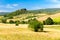 Sunny springtime tuscan country view near Massa Marittima , Italy