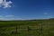 Sunny Summer Day in Country Grass Field