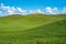 Sunny summer day in the rolling green grass hills of the Palouse in Washington State