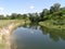 Sunny summer day. A steep bank by the river.