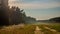 Sunny summer day after the storm. Beautiful meadow with mist. Path in field with wildflowers.