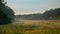 Sunny summer day after the storm. Beautiful meadow with mist. Path in field with wildflowers.