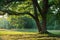 sunny summer landscape with oaks