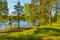 Sunny summer morning outside the city on the shore of a sandy quarry