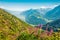 Sunny summer view of Martigny town. Great morning scene of Swiss Alps, canton of Valais in Switzerland, Europe. Beauty of nature