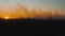 Sunny sunset on a background of smoke of a burning forest and fields, background