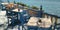 Sunny terrace of an old fashioned Greek taverna, by the seaside on the island of Poros.