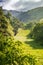 Sunny verdant valley and a little bit of morning mist, California