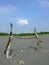 Sunny view of a beach in Suao township