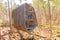 Sunny view of the Childrens Garden Treehouse in Garvan Woodland Gardens