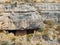 Sunny view of the cliff home in Walnut Canyon National Monument