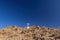 Sunny view of the cross on Grotto Hill