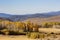 Sunny view of the fall color around Conway Summit