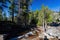 Sunny view of the Horsetail Fall Trail at Lake Tahoe