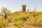 Sunny view of Lake Jed Johnson Tower