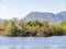 Sunny view of the landscape in Henderson Bird Viewing Preserve