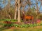 Sunny view of many tulips blossom in E.C. Hafer Park