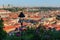 Sunny view over the rooftops of Prague with lamp and flowers in the foreground