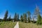 Sunny view of the Point Supreme Campground of Cedar Breaks National Monument