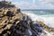 Sunny view on the sea, rocks, waves with foam and water splashing in Stintino, Sardinia, Italy