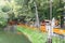 Sunny view of the Senbon Torii of Fushimi Inari-taisha