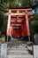 Sunny view of the Senbon Torii of Fushimi Inari-taisha