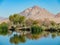 Sunny view of some landscape around Henderson Bird Viewing Preserve