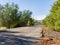 Sunny view of the trail in Henderson Bird Viewing Preserve