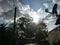 Sunny, view of trees and green leaves. With a bunch of clouds and light on top of houses.