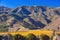 Sunny view of the vineyard landscape of Salinas Valley