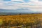 Sunny view of the vineyard landscape of Salinas Valley