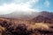 Sunny volcanic landscape, Teide, Tenerife