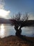 Sunny winter day on a lake