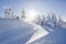 Sunny winter day. Snowy landscape with trees on the lawn covered with snow in high mountain