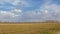 Sunny winter farm landscape in the Flemish countryside