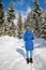 Sunny winter landscape in the nature: Footpath, snowy trees, sunshine and blue sky