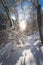 Sunny winter landscape in the nature: Snowy trees, wilderness