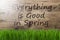 Sunny Wooden Background, Gras, Everything Is Good In Spring