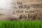 Sunny Wooden Background, Gras, Quote Little Things Make Life Big